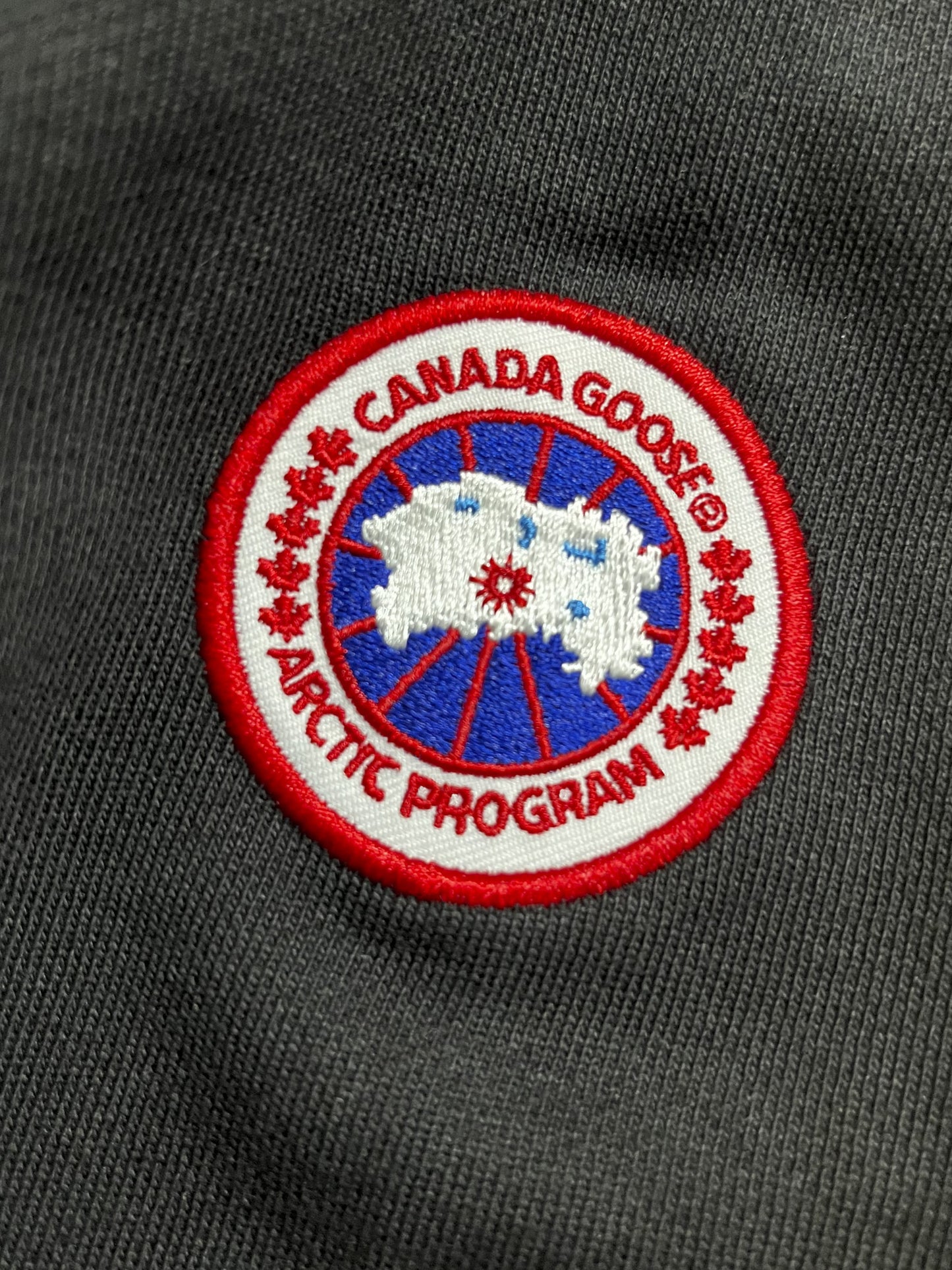 Canada Goose Huron Hoodie